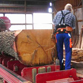 Fotografie: Holzverarbeitung